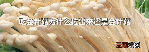 吃金针菇为什么拉出来还是金针菇