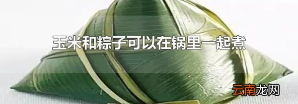 玉米和粽子可以在锅里一起煮吗