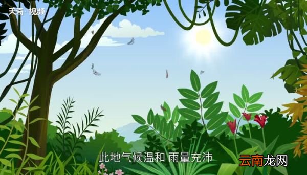 宣纸的种类 宣纸的用途