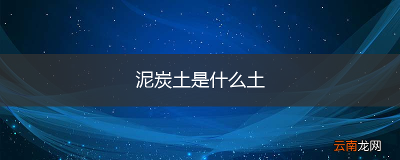 泥炭土是什么土