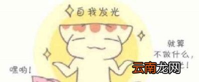 “光环效应”是什么意思?