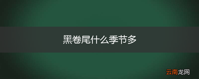 黑卷尾什么季节多