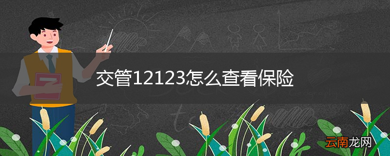 交管12123怎么查看保险