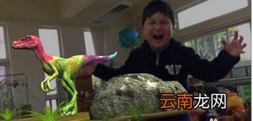 4D书城app的具体使用过程