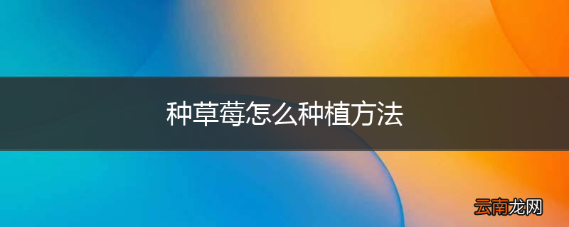 种草莓怎么种植方法