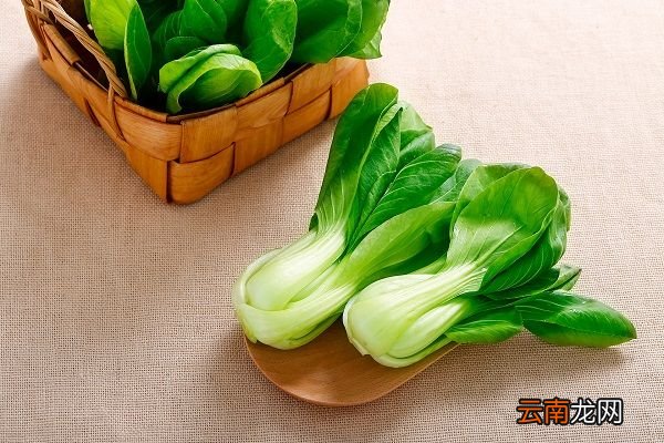 油菜的功效与作用 油菜的食用禁忌