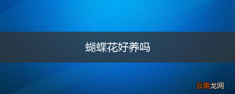 蝴蝶花好养吗