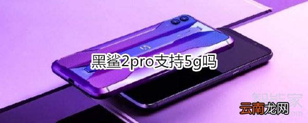 黑鲨2pro支持5g吗