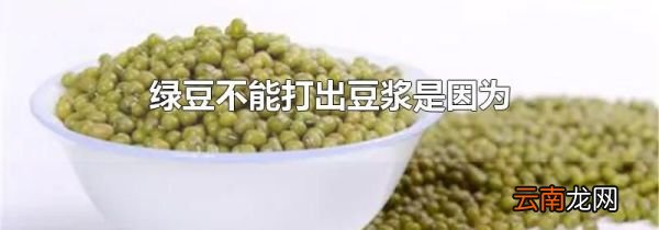 绿豆不能打出豆浆是因为