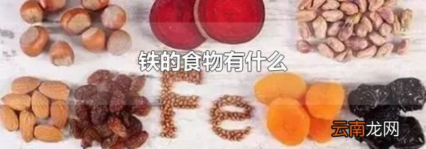 铁的食物有什么