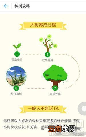 蚂蚁森林怎么浇水?蚂蚁森林浇水后自己能量会减少吗?