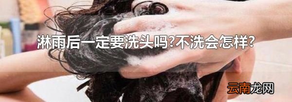 淋雨后一定要洗头吗?不洗会怎样?
