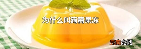 为什么叫蒟蒻果冻