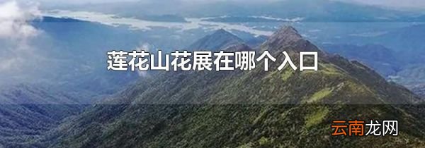 莲花山花展在哪个入口