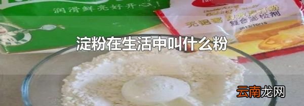 淀粉在生活中叫什么粉