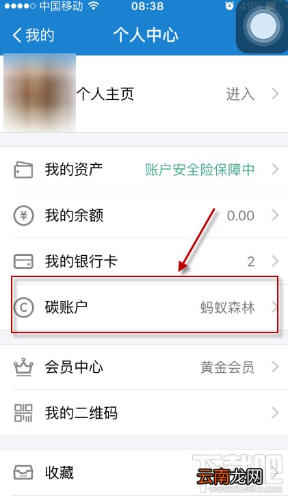 支付宝蚂蚁森林种树怎么收取能量？支付宝碳账户进入入口在哪里？