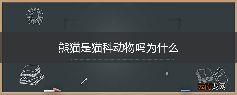 熊猫是猫科动物吗为什么