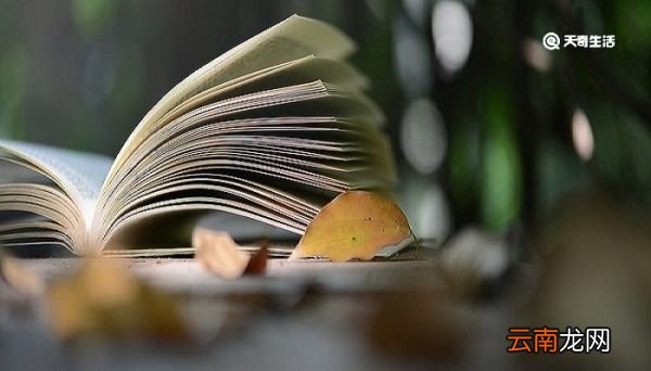 许渊冲翻译作品 许渊冲的翻译作品有哪些