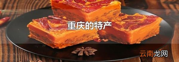 重庆的特产