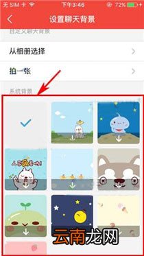 有宠app更换聊天背景的基础操作