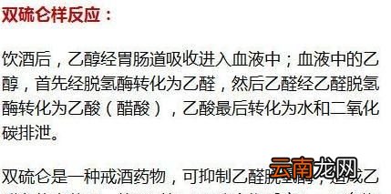 头孢配酒说走就走什么意思?