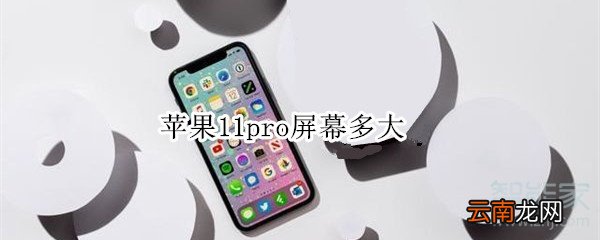 苹果11pro屏幕多大
