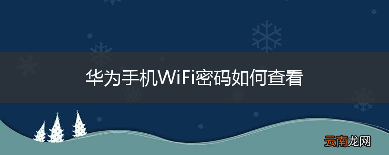 华为手机WiFi密码如何查看