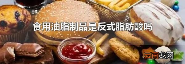 食用油脂制品是反式脂肪酸吗