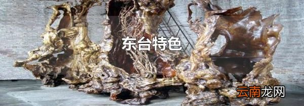 东台特色