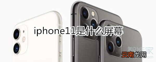 iphone11是什么屏幕