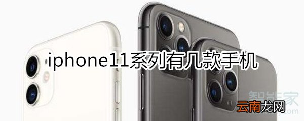 iphone11有几款