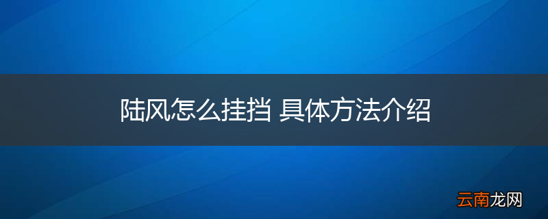 陆风怎么挂挡 具体方法介绍