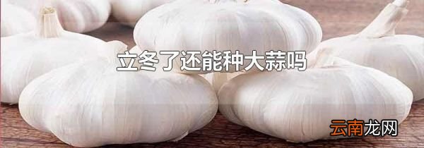 立冬了还能种大蒜吗