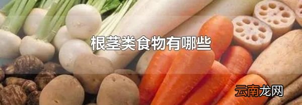 根茎类食物有哪些