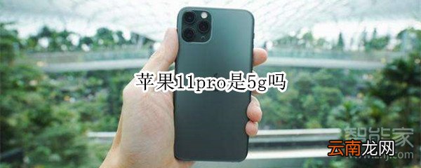 苹果11pro是5g吗