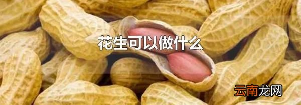 花生可以做什么