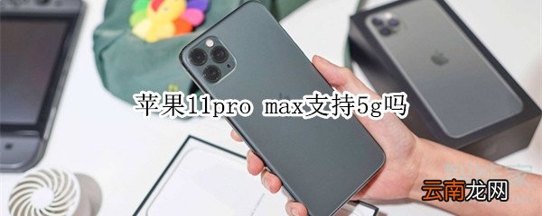 苹果11pro max支持5g吗