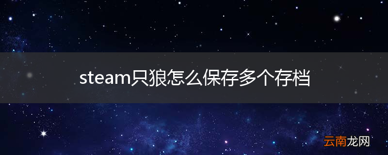 steam只狼怎么保存多个存档