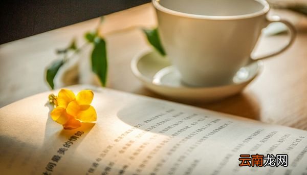 行路难赏析 行路难诗歌赏析