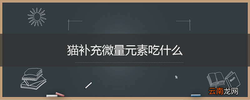 猫补充微量元素吃什么
