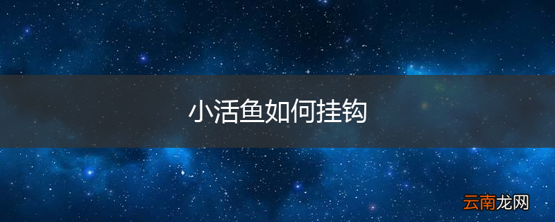 小活鱼如何挂钩