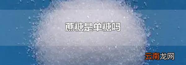 蔗糖是单糖吗