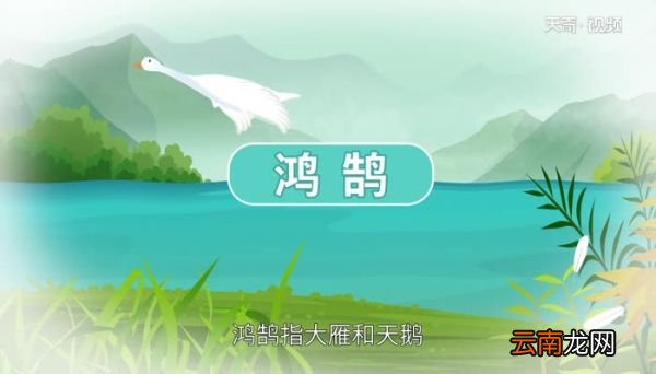 鹄怎么读 鹄字的读法