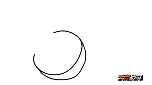 山竹简笔画 山竹简笔画怎么画
