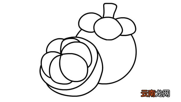 山竹简笔画 山竹简笔画怎么画