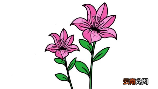 花的简笔画 花的简笔画画法