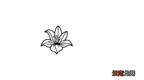花的简笔画 花的简笔画画法