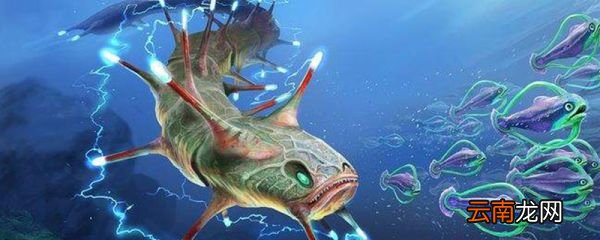 电鳗的电怎么来的 电鳗是怎么放电的