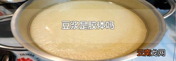 豆浆是胶体吗