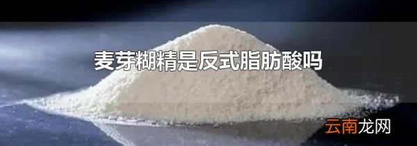 麦芽糊精是反式脂肪酸吗
